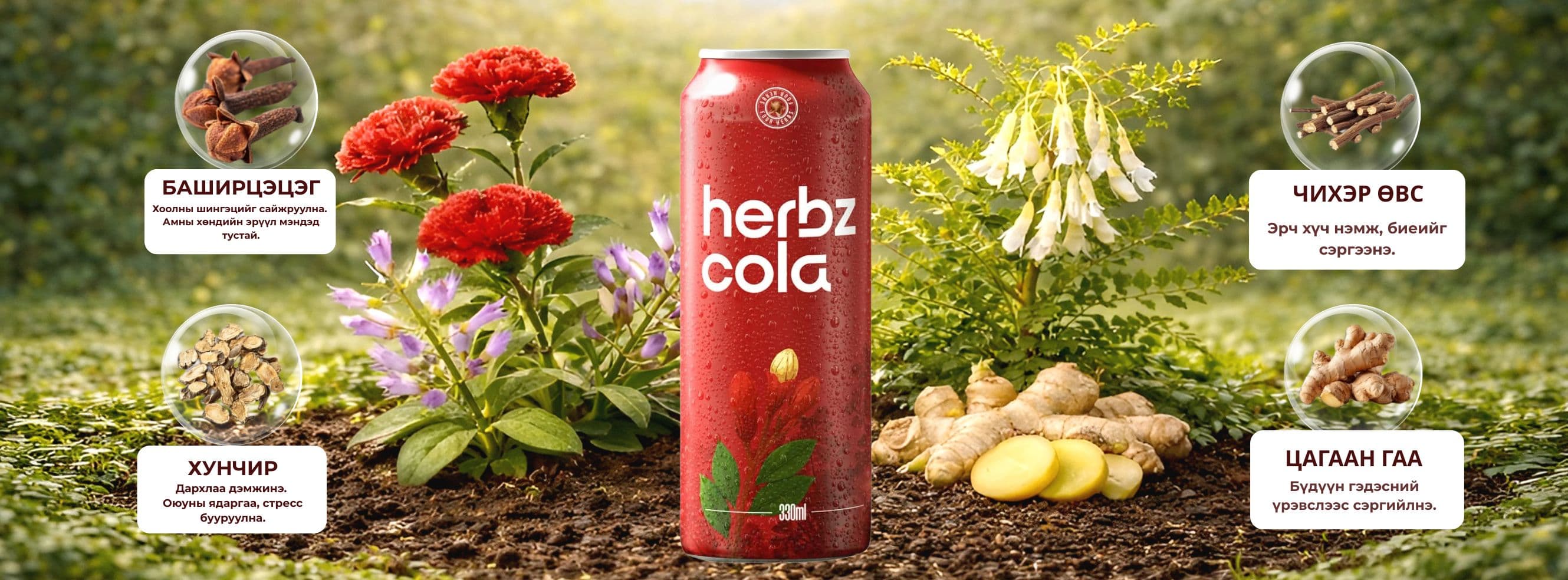 Herbz Cola - Функционал шинж чанартай төслөө танилцуулж байна.
